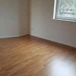 Schleifen Buche Fertigparkett